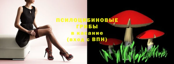 соль ск Абаза