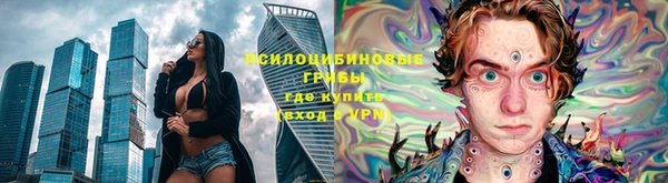 соль ск Абаза