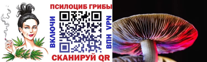 Галлюциногенные грибы мицелий  Адыгейск 